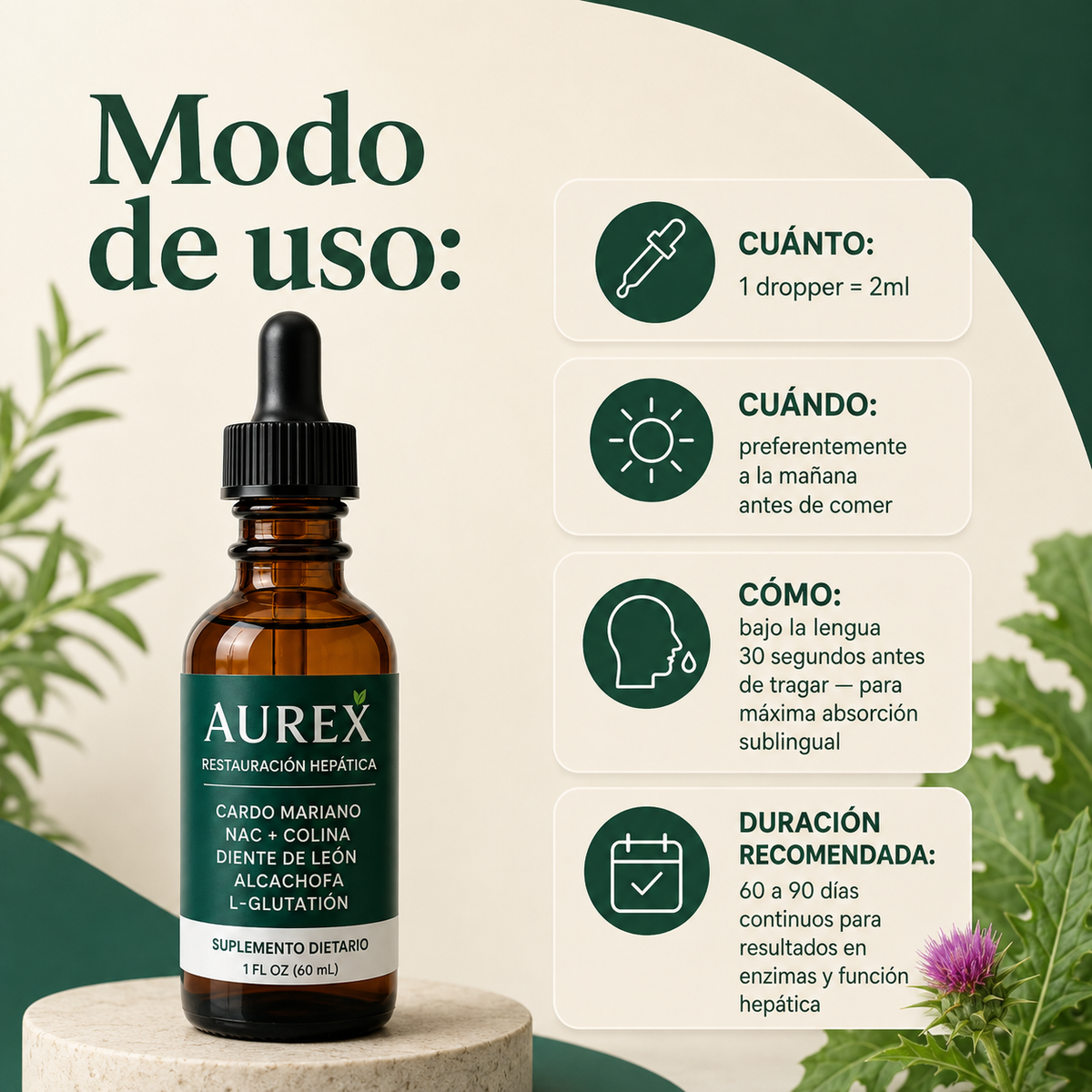 Aurex Restauración Hepatica